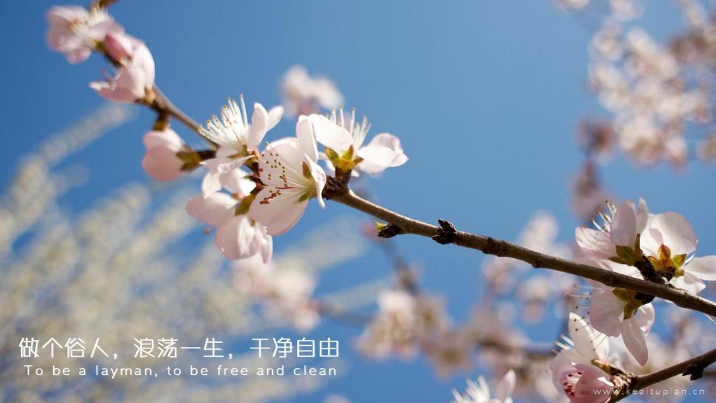 过期的菜