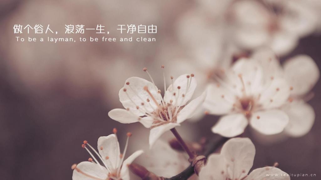 疼痛，不止是一个人