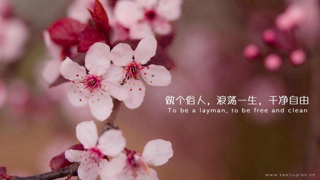 不是“红颜知己”的朋友