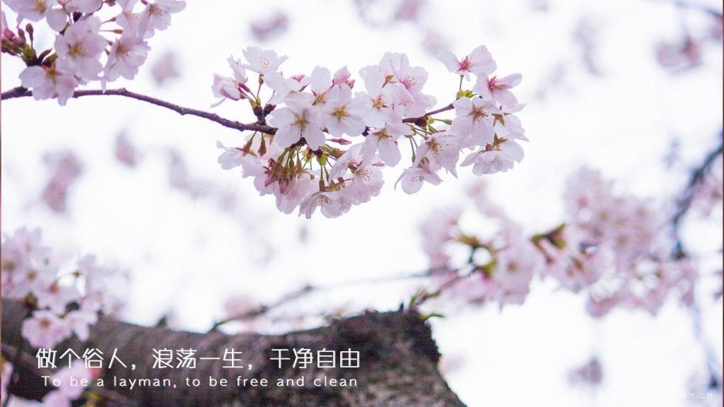 我想念你的多种方式