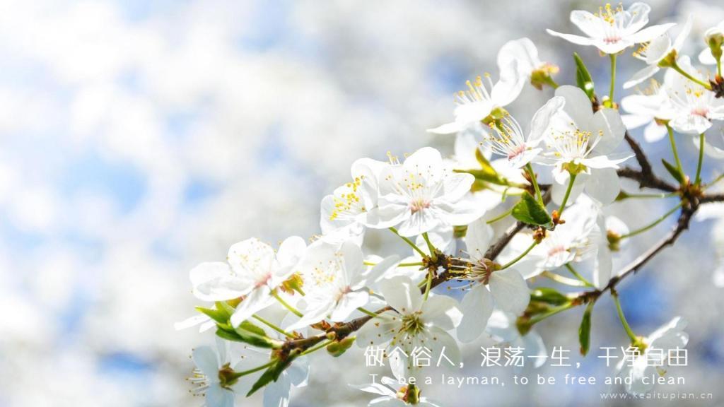 100句张小娴经典爱情语录