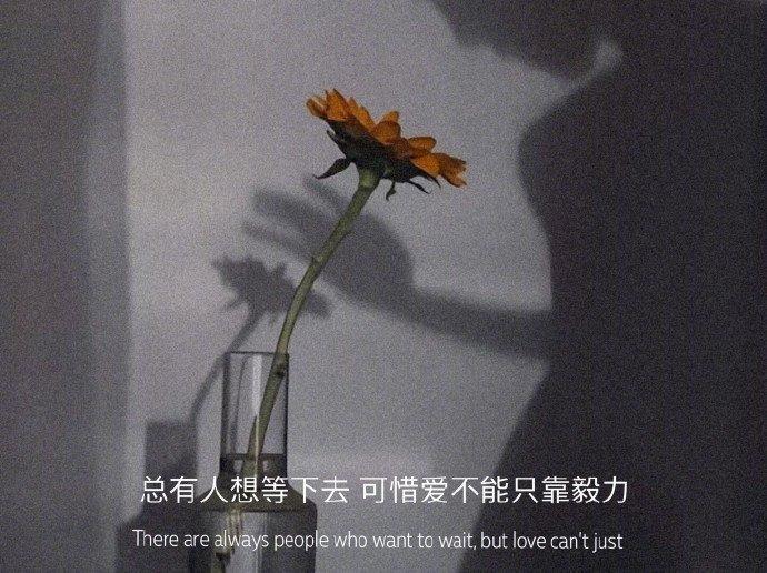 一个无法打开的心结