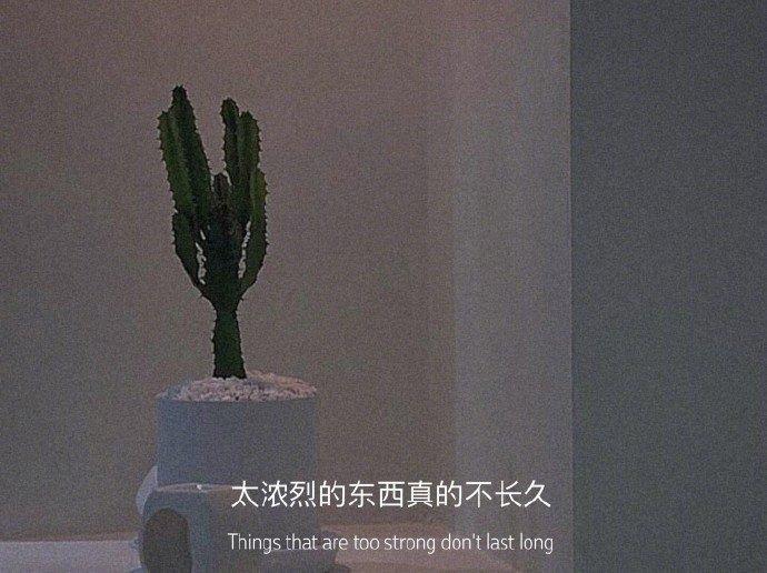 中秋节美文摘抄600字