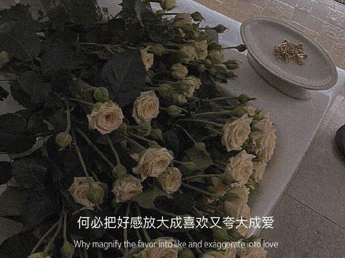都是青玉惹的祸，我只做你的红尘过客