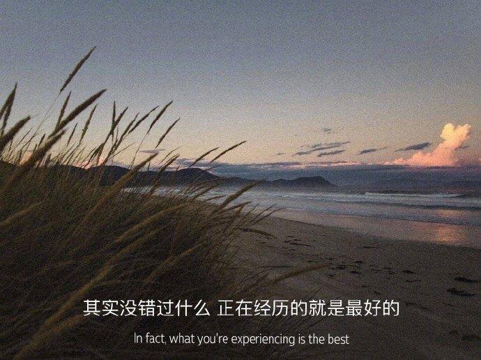 你是我前世的蝴蝶散文