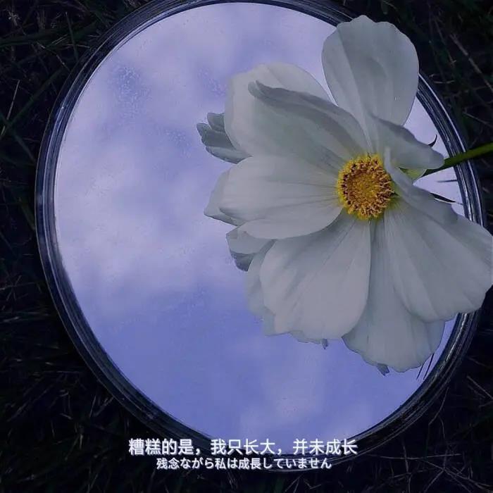 那时，那阳光