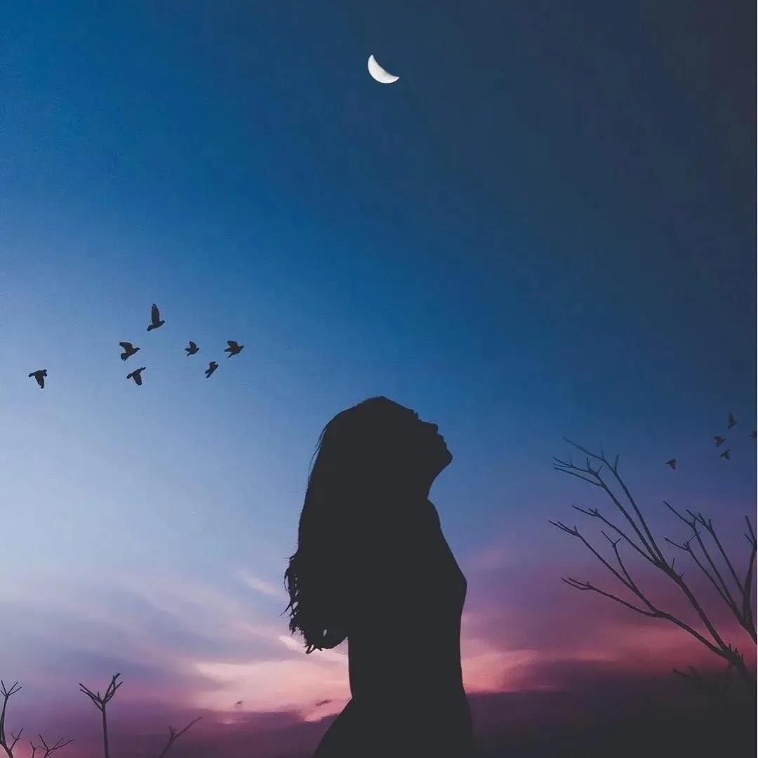 网上看到的余秋雨语录摘录过来供大家观看