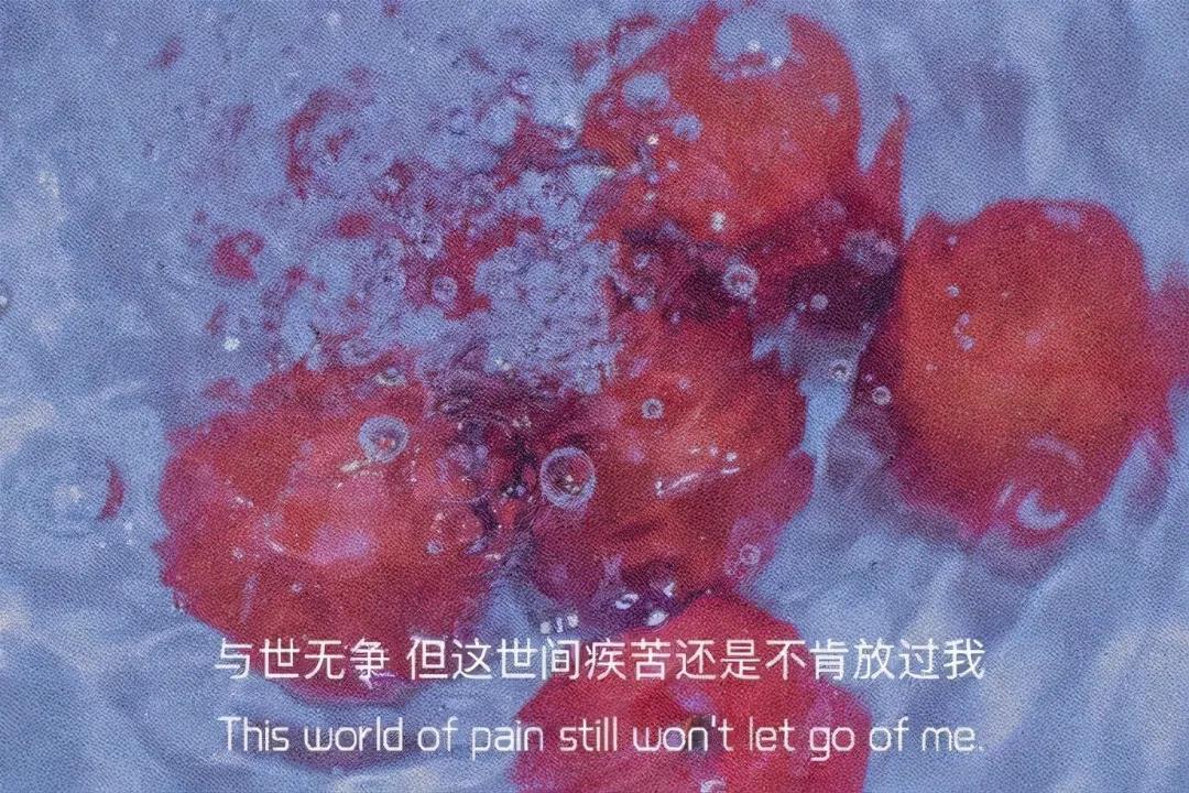 唯美句子摘抄短语_唯美语录