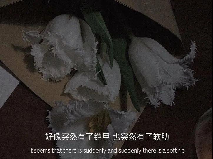 人面桃花