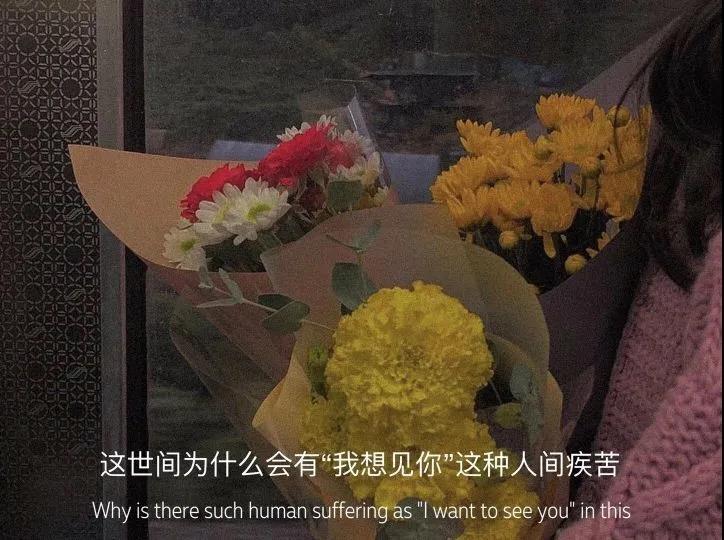 亲爱的这就是爱情