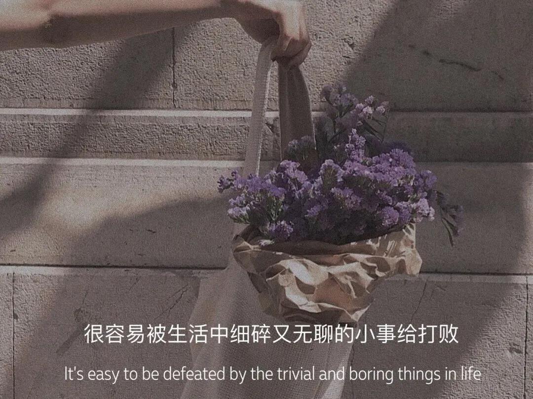 你为什么不走