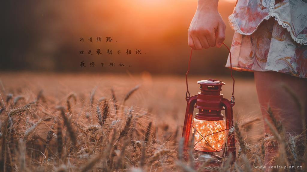 44号大巴