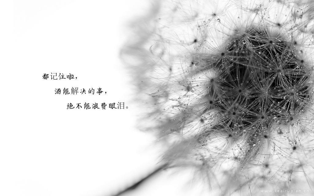 马连山系列之面孔