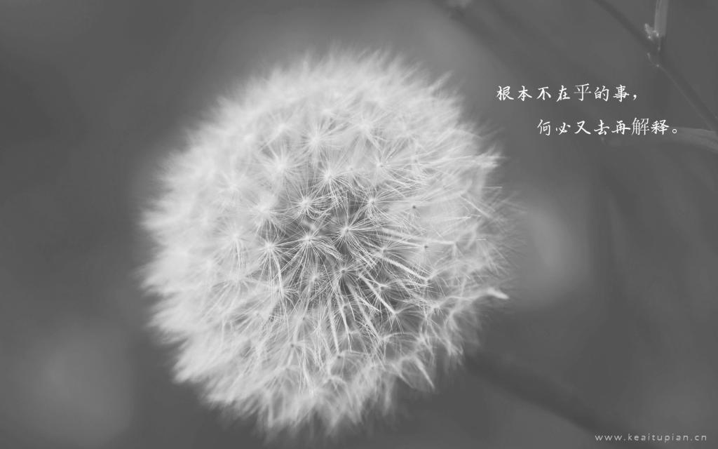 繁华似锦后面的柴米油盐