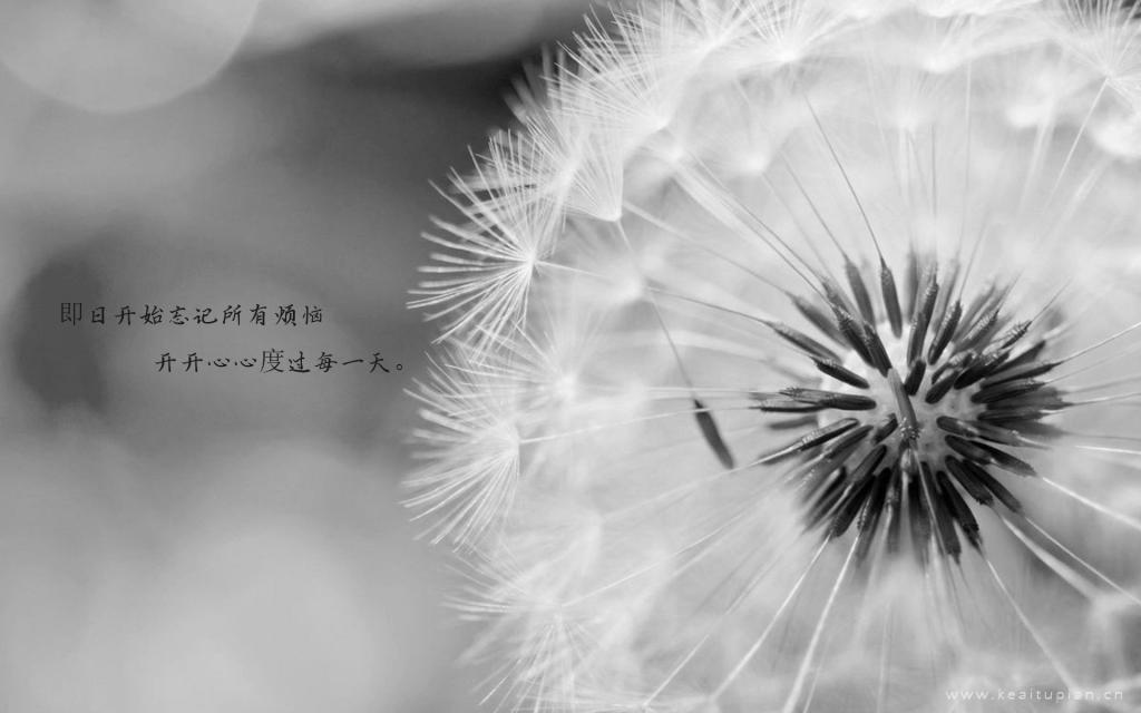 女人要早点明白：人到中年，女人拼的不是老公