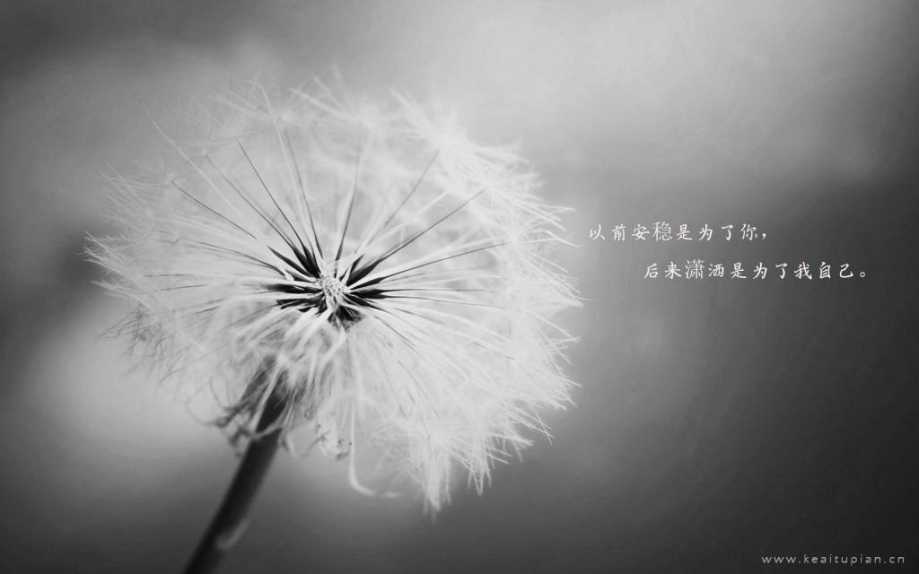 孤独，是给你思考自己的时间。。