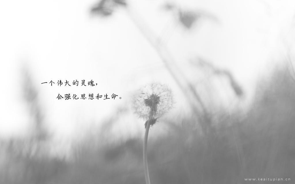 愿我们有一个不辜负的人生