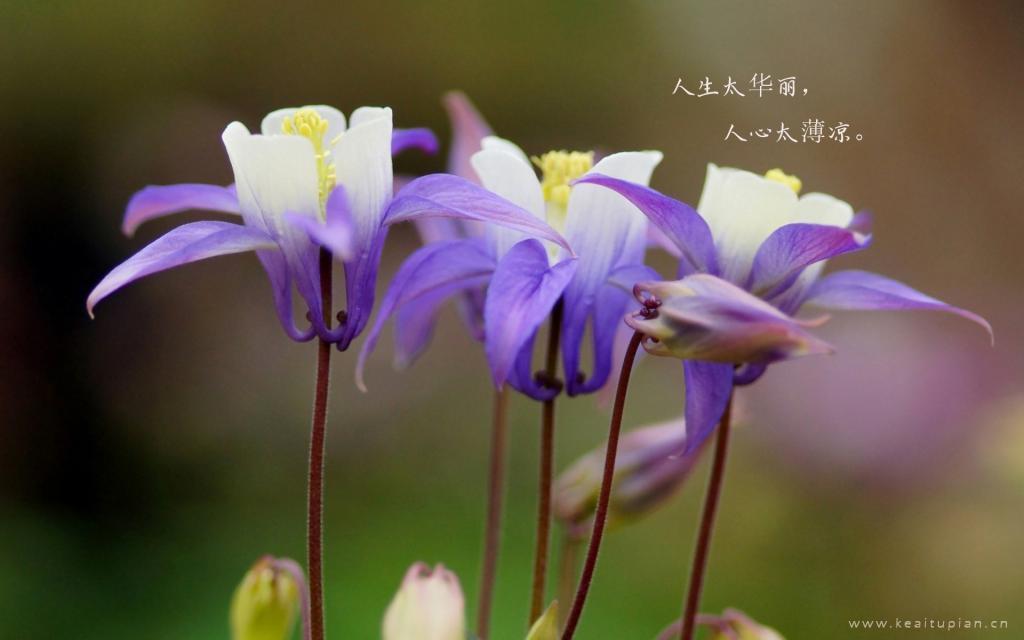 人际关系决定一切。致自己的说说