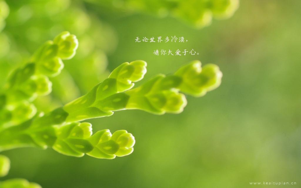 怀念夏天