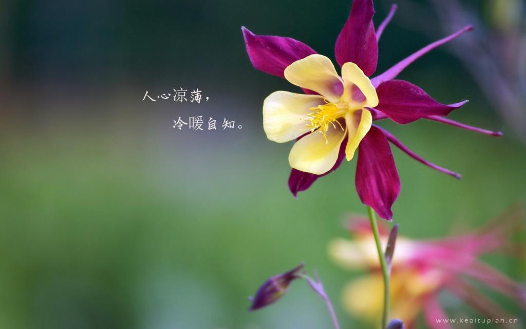 只是个故事