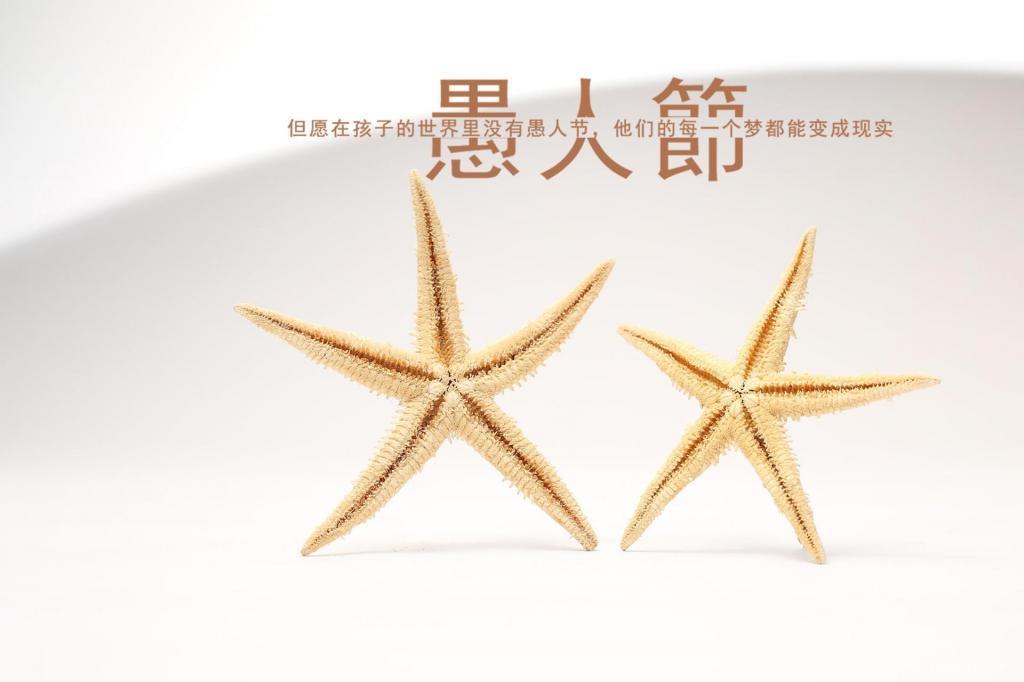 你是我的兄弟