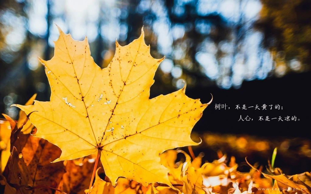 新的人生感悟短句大全：人生短句