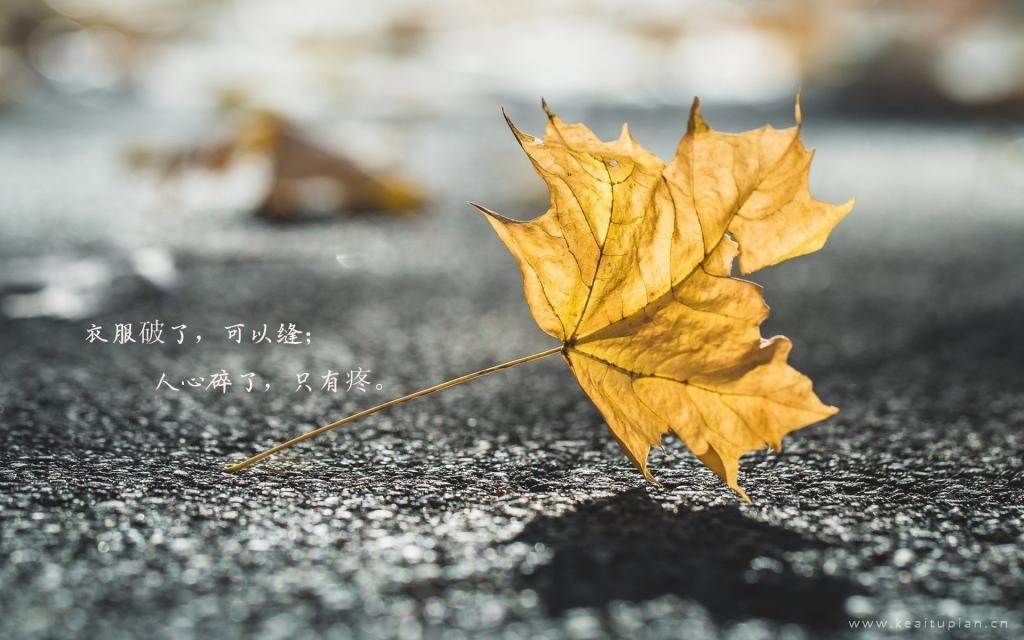 移魂情仇