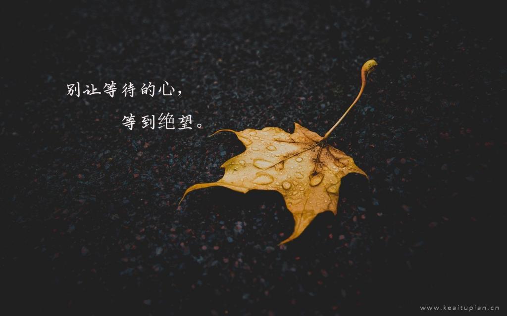 莫桑，分手