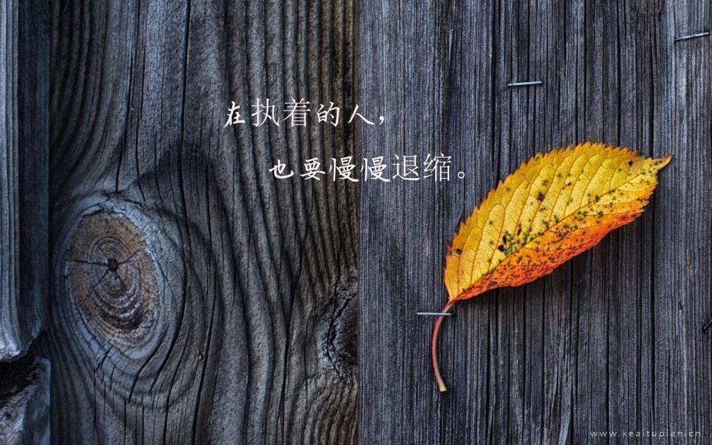 只为心灵的一个觐见