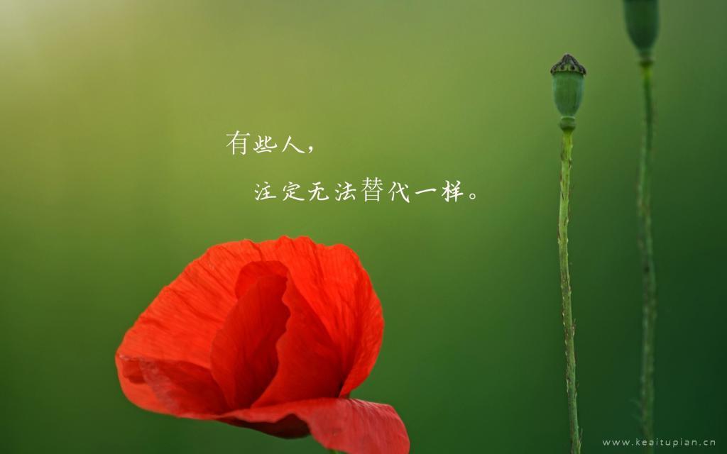 好听简短的唯美短句|简短语录