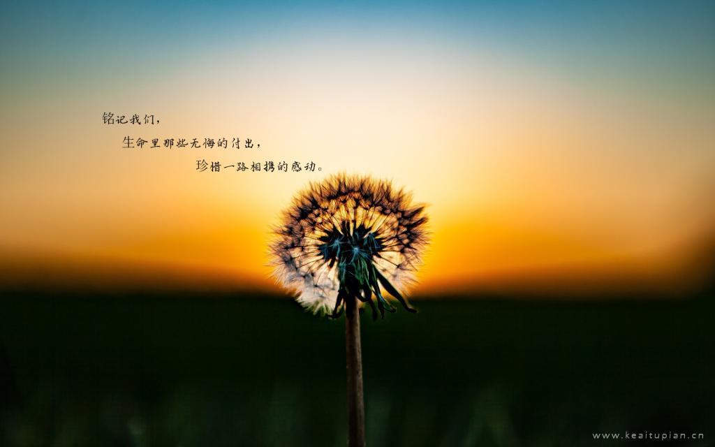 幸福隔着一道玻璃墙