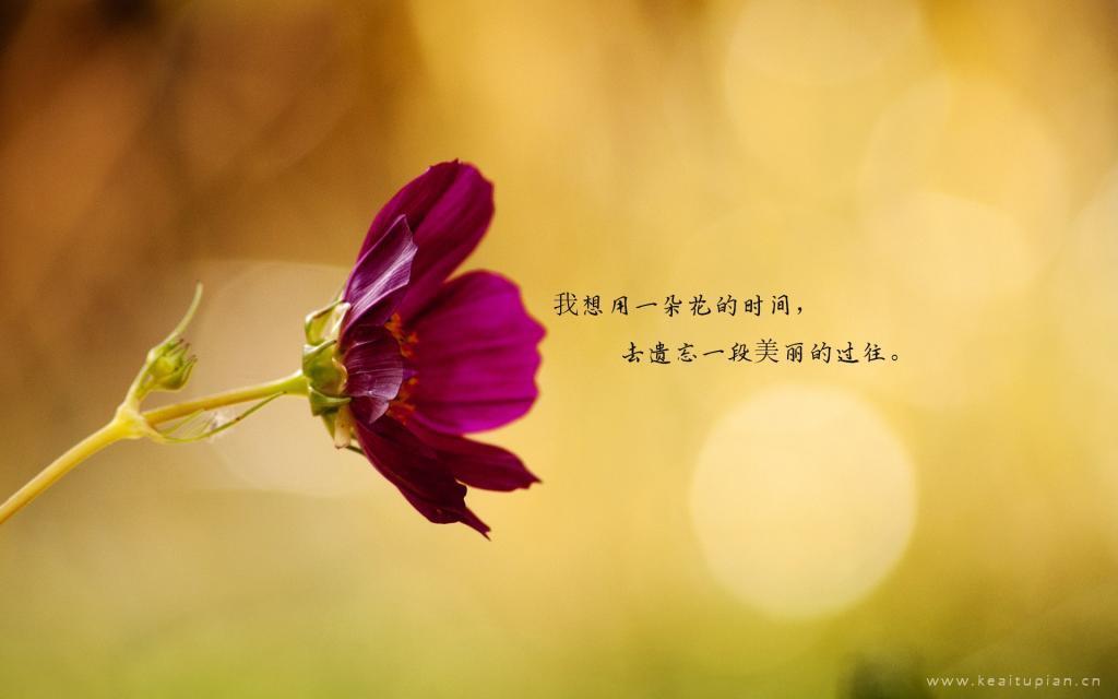 惬意的凯旋车友会