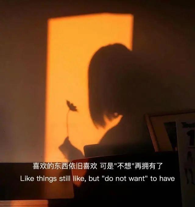 再见，2012！