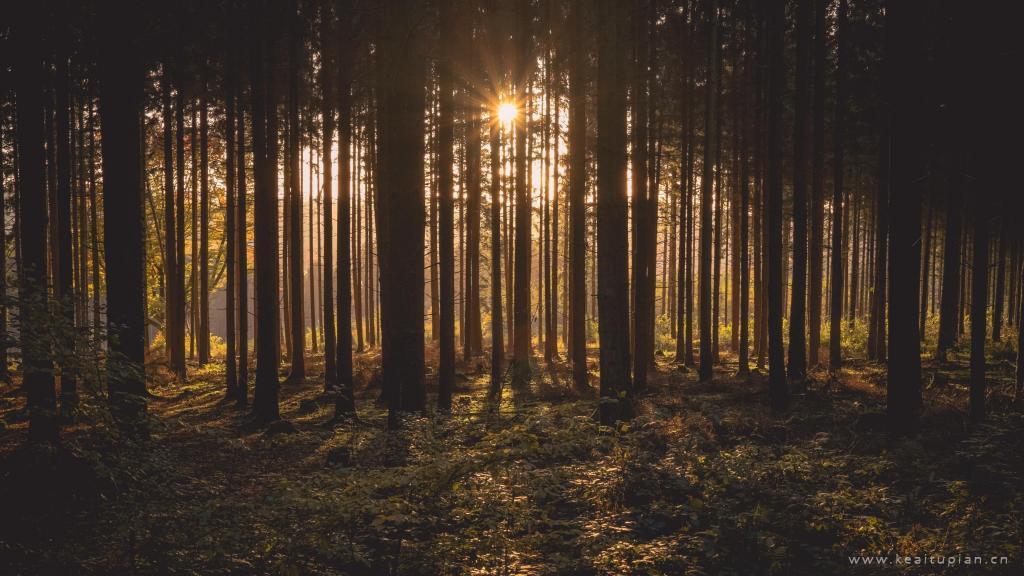 牛的逗人冷幽默