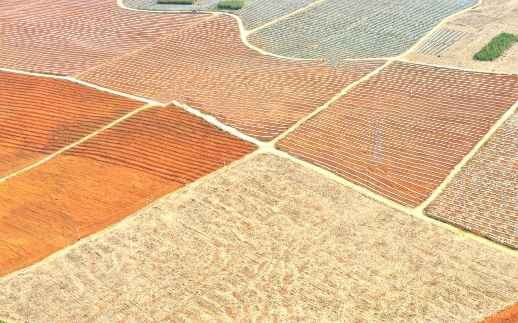 能笑死人的搞笑句子大全，搞笑短语