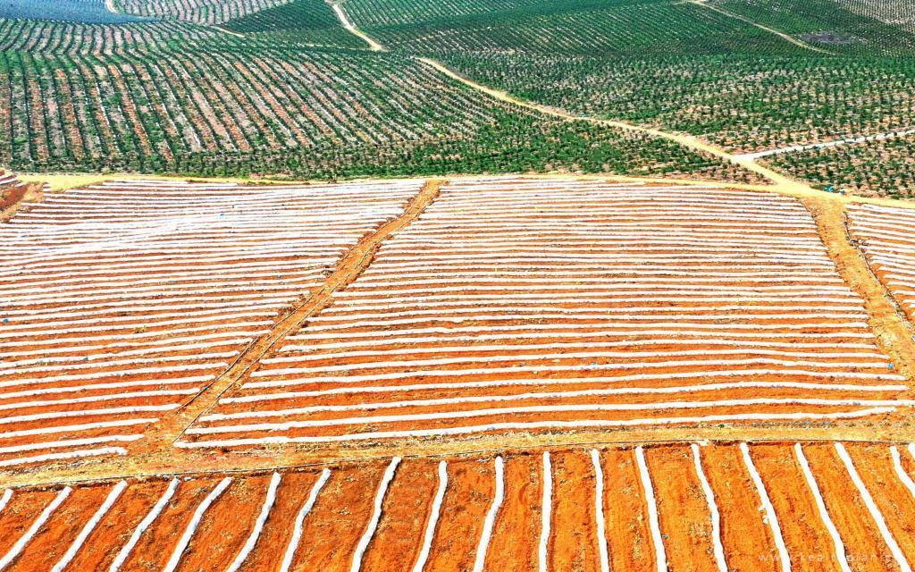 量身打造的爱情