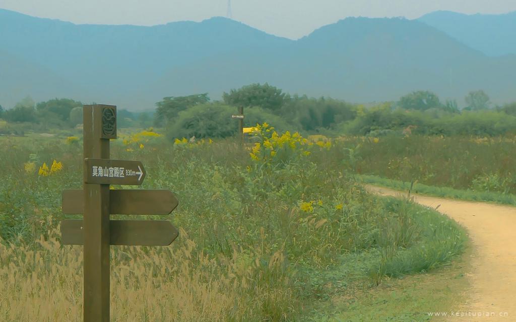 人生如茶，别耽误，别错过