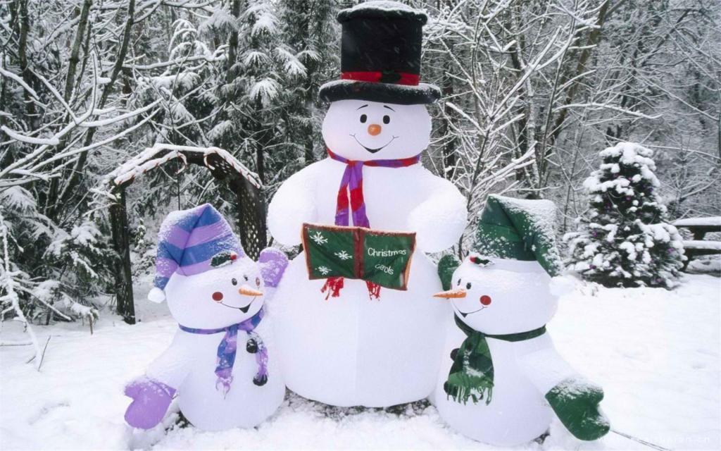 碎在上海的玻璃心