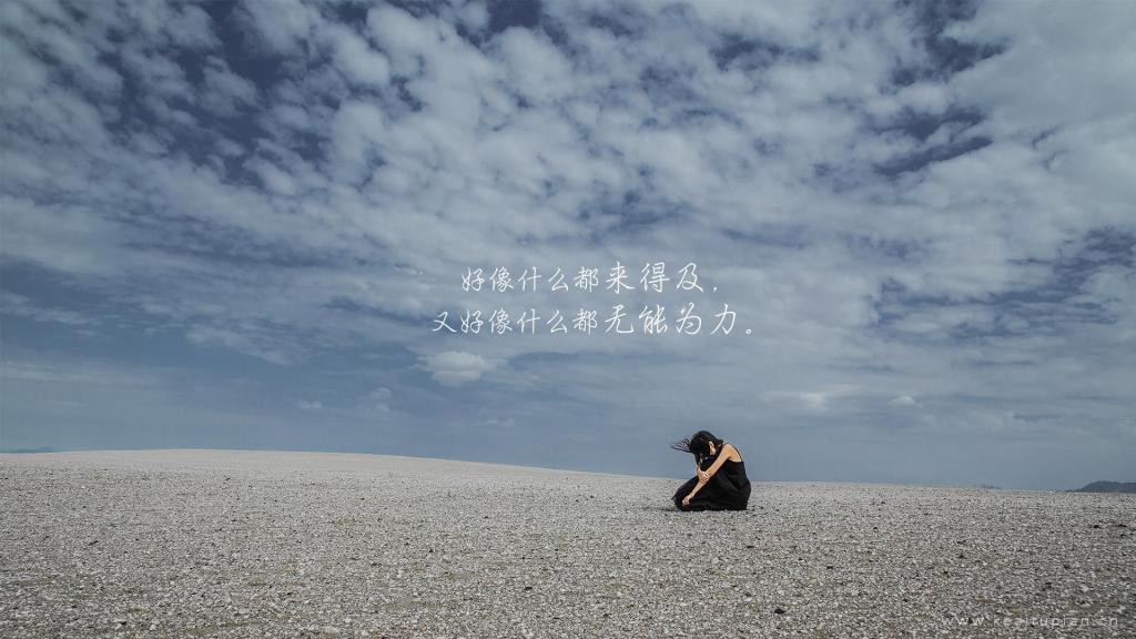 想抱着你哭，为你收住漂泊之步
