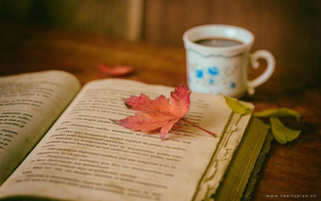 美到心碎的唯美古风句子,唯美短句