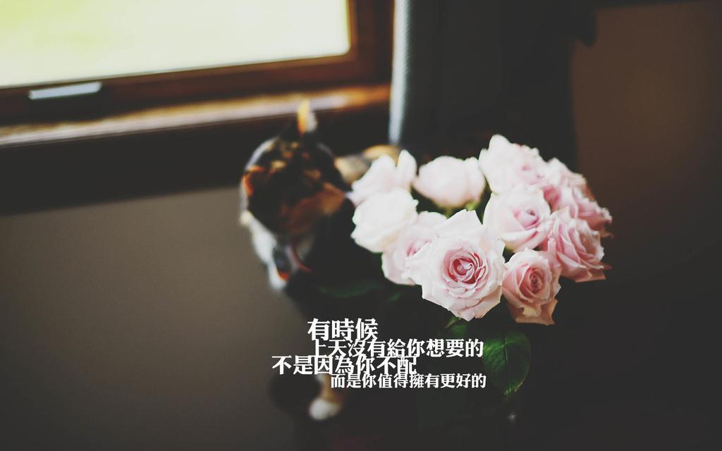 精选伤感的句子短句/伤感语录