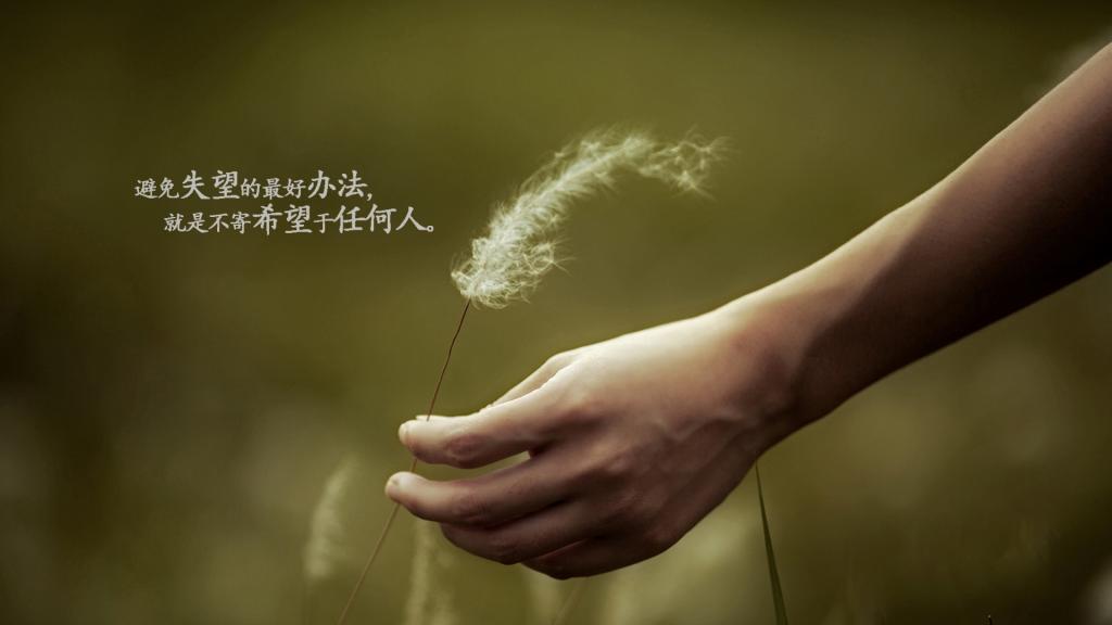 给微软白领上课的“的哥”