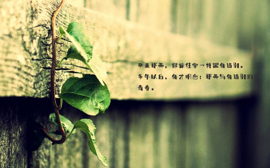 初恋，再忆已是美好