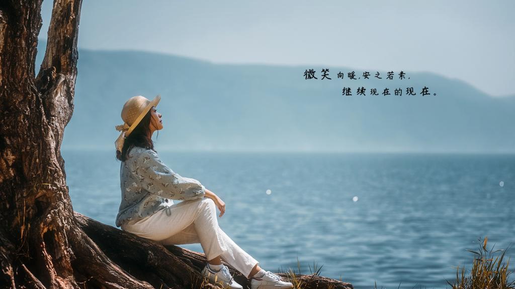 婆婆去哪儿