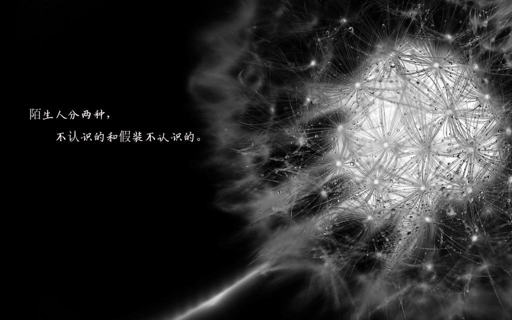 以爱之名的你