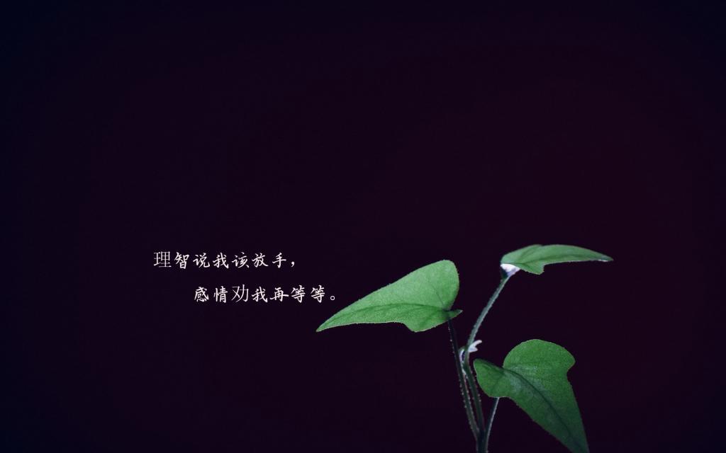 忧伤的想念是一种幸福