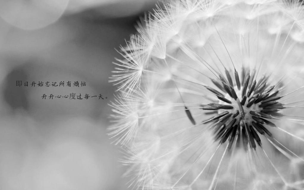 不安全的学校宿舍