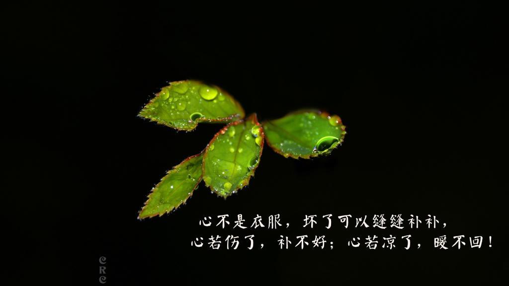 人性的丑恶. ——苏墨