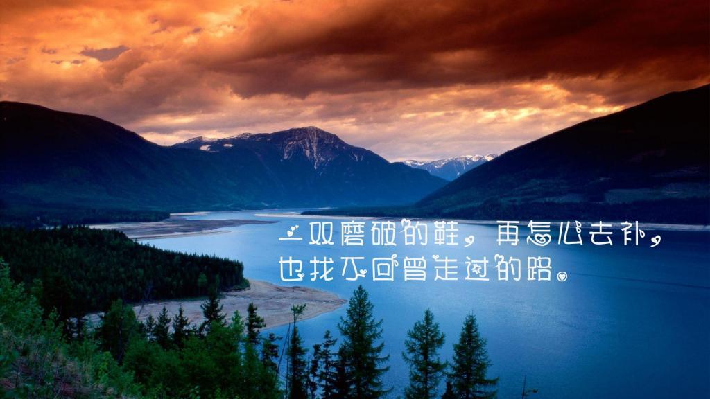 桔梗花等不来夏天