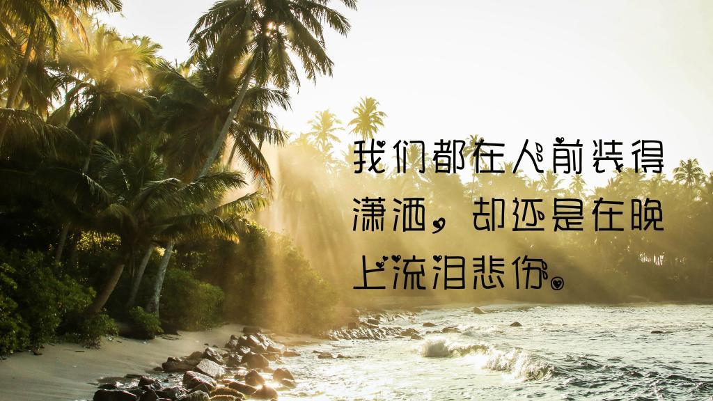 一段无知的路，铺满了落叶的苦